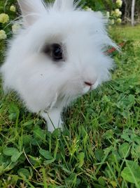 profil