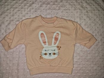 Pull lapin