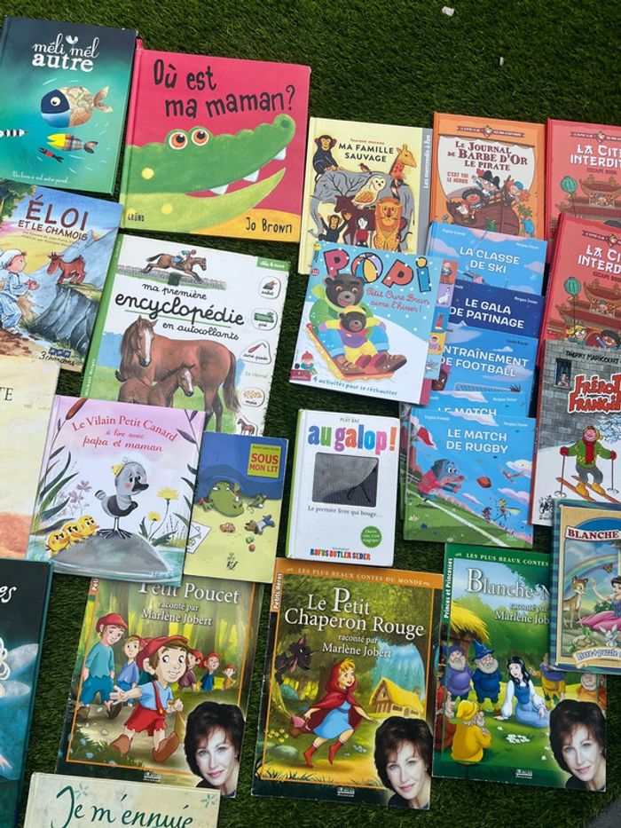 Gros lot de livres divers ( pas de vinted go ) - photo numéro 3