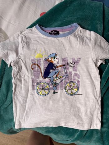 T-shirt singe 4 ans