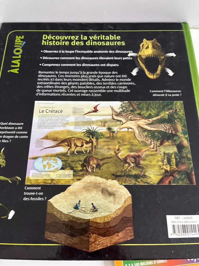 Lot de 3 livres dinosaures - photo numéro 7