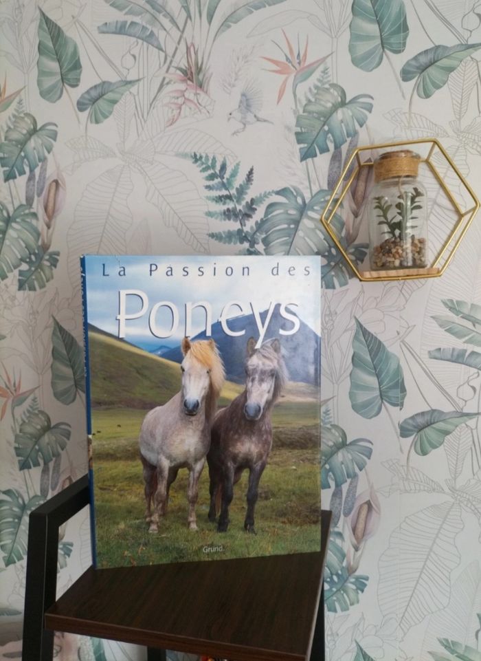 Livre chevaux