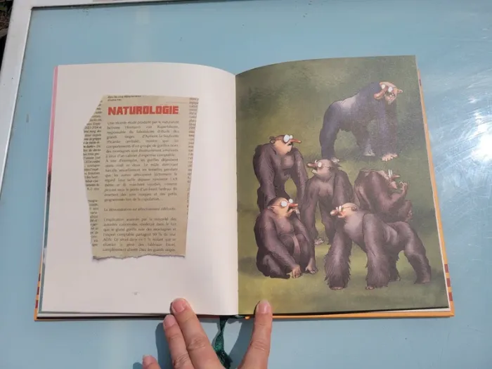 Livre Fake News, Éditions Les Rêveurs - photo numéro 6