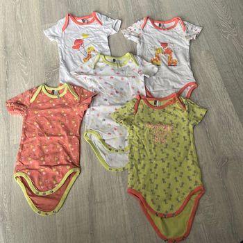 Lot de 5 bodies