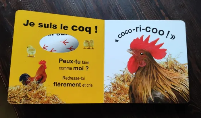 Livre "Qui suis je ? Les animaux de la ferme" - photo numéro 3
