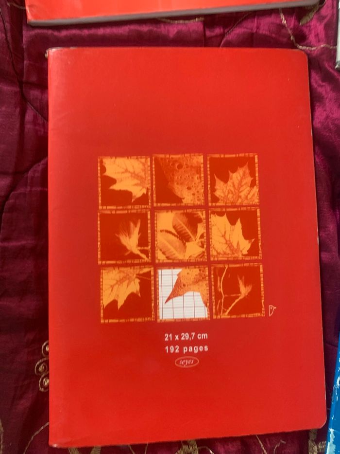 Lot de 10 cahiers 24x32 cm et 1 cahier 21x29,7 cm - photo numéro 2