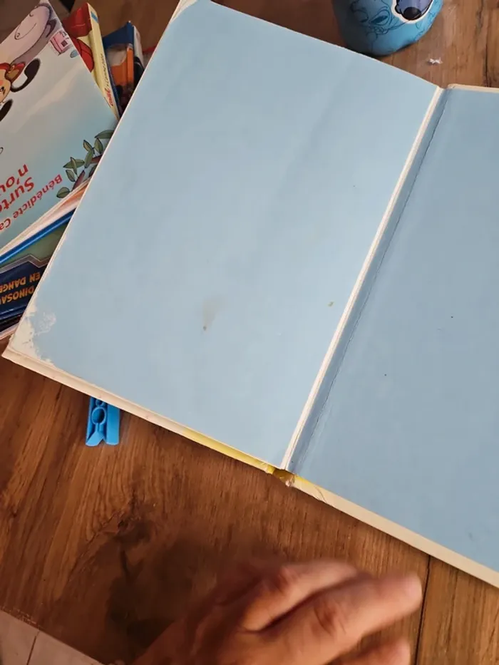 Livre pour enfant sage - photo numéro 5