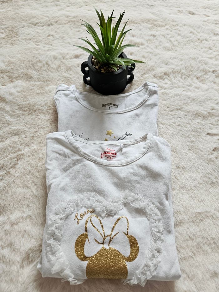 Lot de 2 Tee-shirt à manches longues- 6 ans