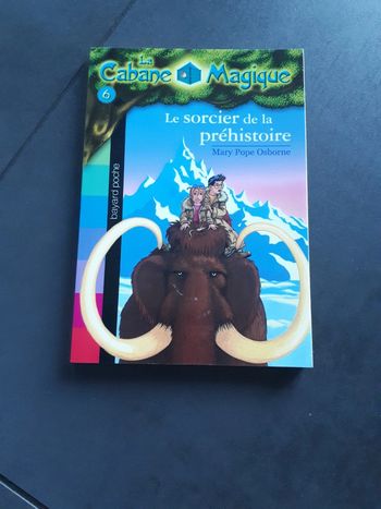 Livre la cabane magique le sorcier de la Préhistoire