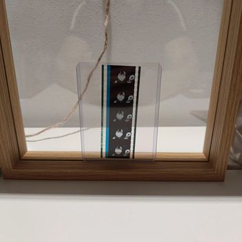 Pellicule démon slayer obanai