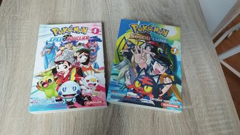 Livre pokémon
