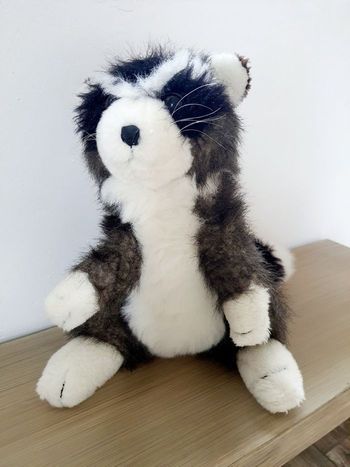 Peluche raton laveur