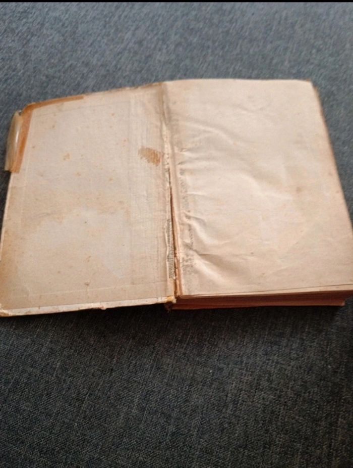 Livre Les mémoires d'un âne - photo numéro 4