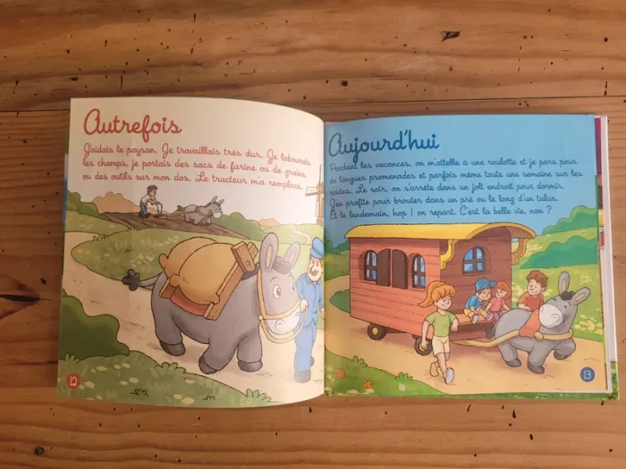 Livres sur les ânes et la lettre A - photo numéro 6
