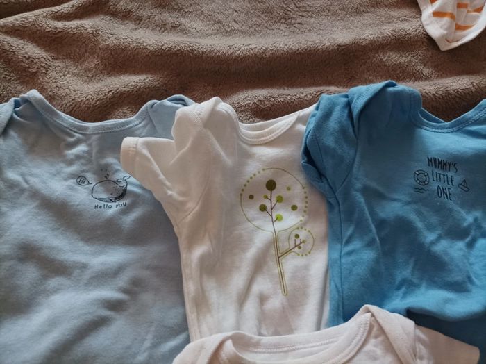 Bodys manches courtes - photo numéro 2