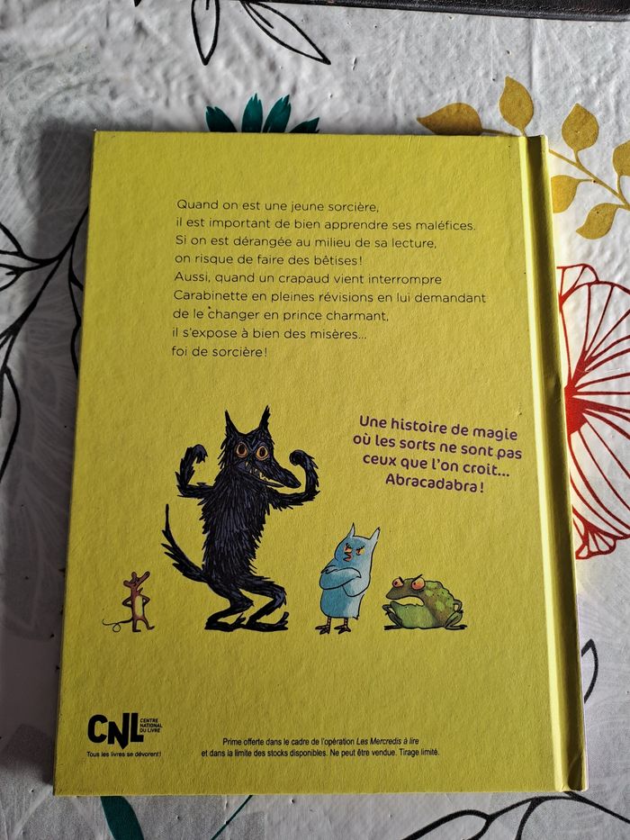 Carabinée, la petite sorcière qui n en fait qu à sa tête - photo numéro 2