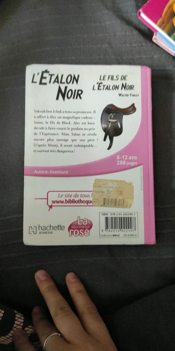 Livre le fils de l'étalon noir - photo numéro 3