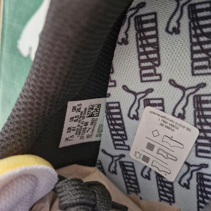 Puma noir - photo numéro 6