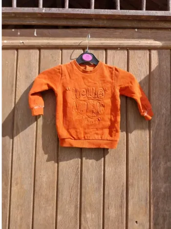 Pull Lulu castagnette 12 mois