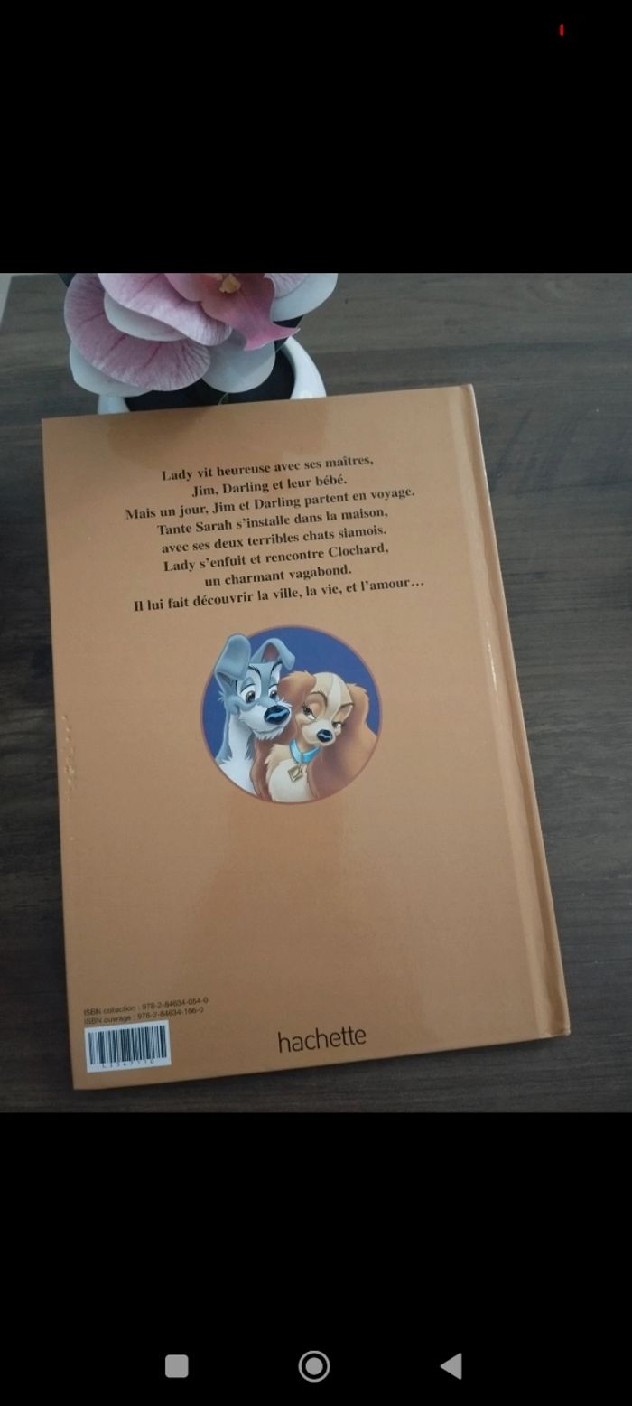 Livre Disney - photo numéro 2