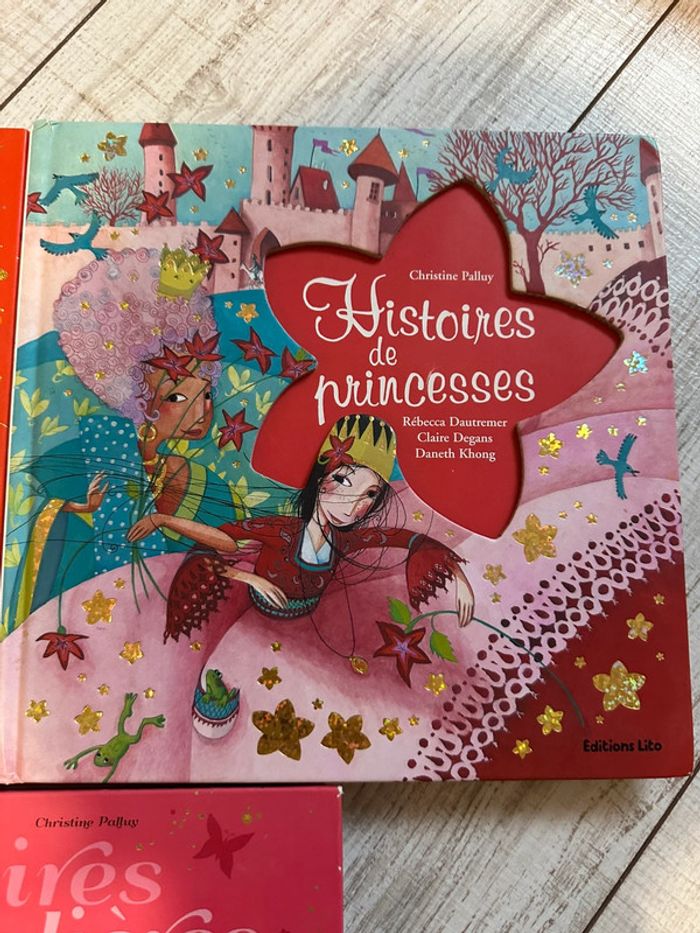 Lot 4 grands livres contes illustrés – princesses, fées, chevaliers - photo numéro 4