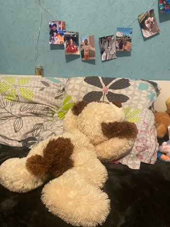 Chien en peluche, marron et beige/café au lait
