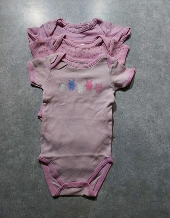 Lot de 3 bodies manches courtes