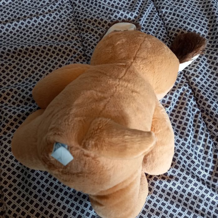 Nounours 30 cm - photo numéro 2