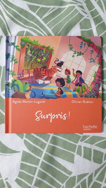 Neuf livre enfant Hachette Jeunesse sur le thème de l art Surpris Henri Rousseau