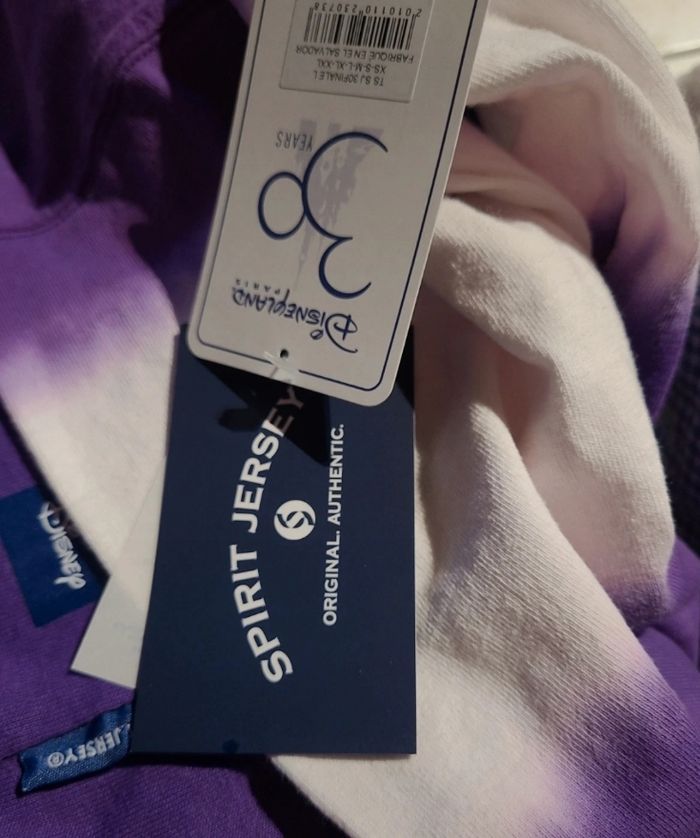Pull 30 ans disney - photo numéro 4