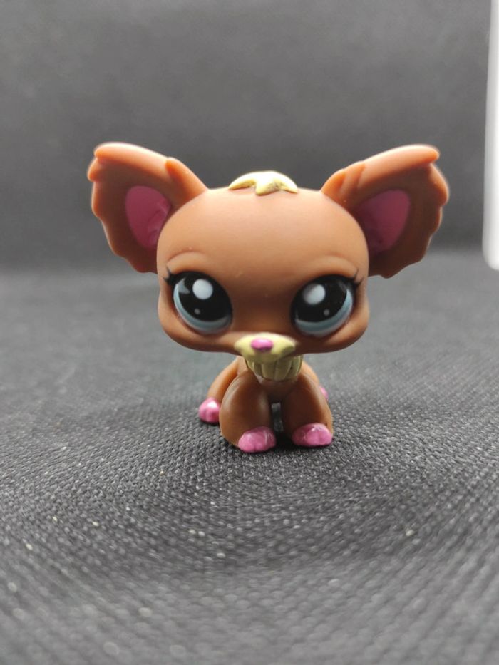 Littlest Petshop LPS dog chien papillon 1623 chihuahua hasbro #geektradelpschien - photo numéro 2