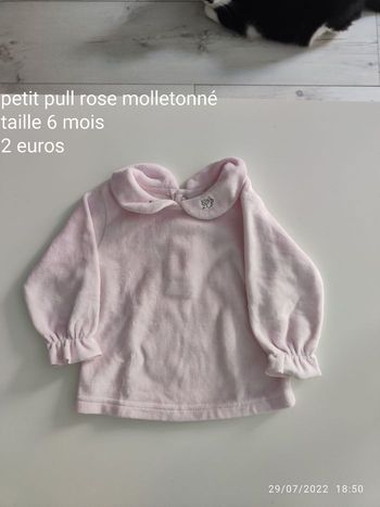 Pull molletonné