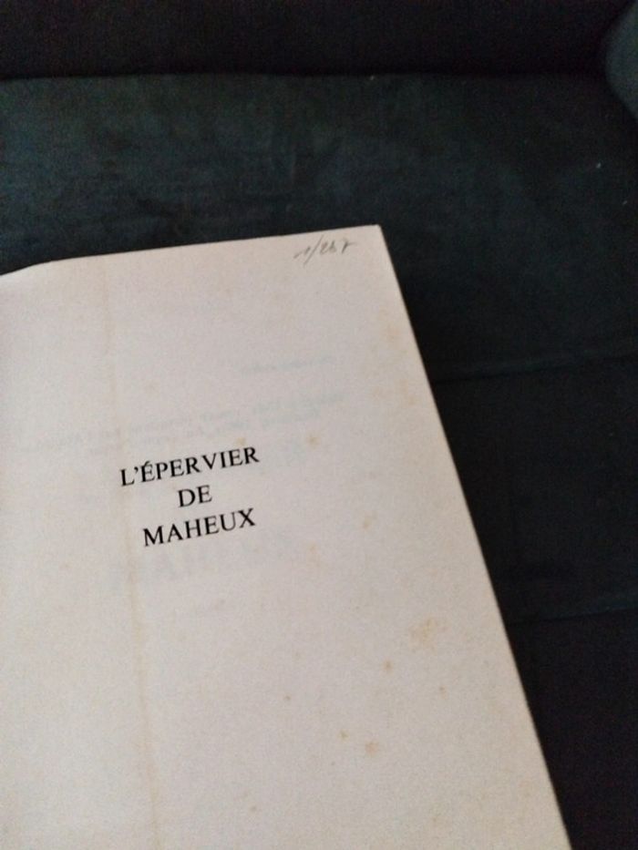 L'épervier de malheux de Jean Carrière - photo numéro 8