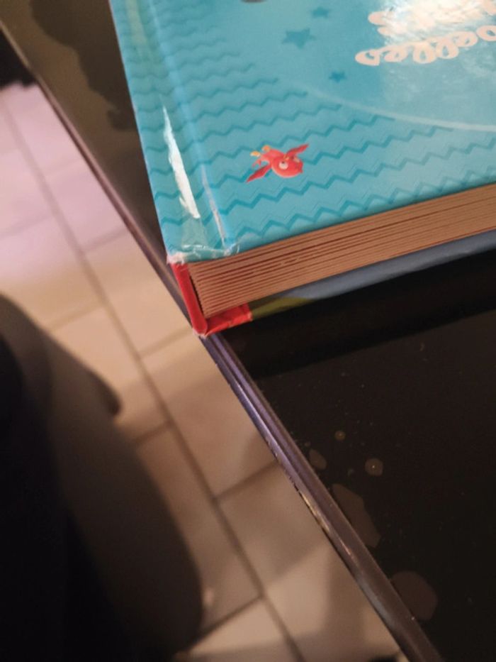 Livre la maison de mickey - photo numéro 10