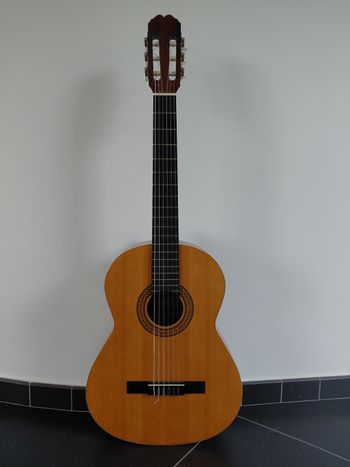 Guitare acoustique Admira