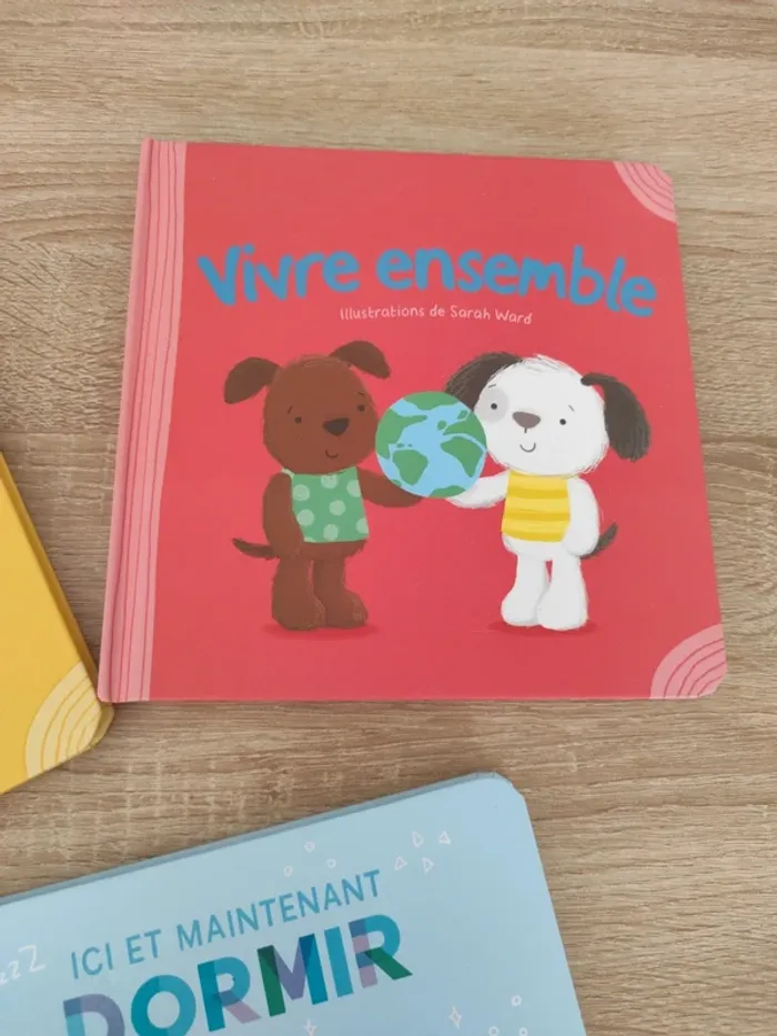 Lot livre bébé - photo numéro 4