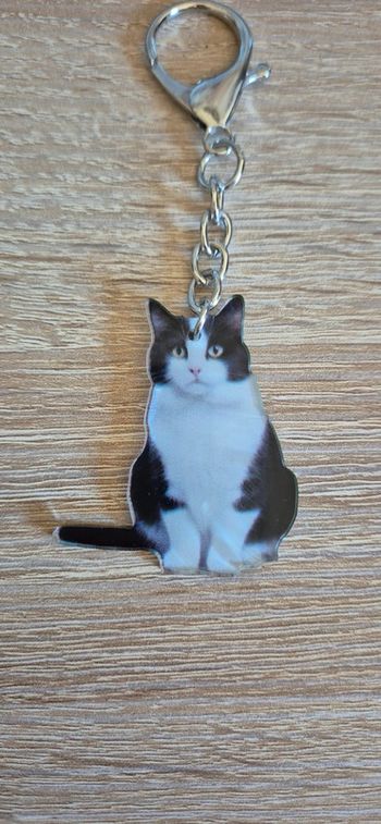 Porte clés 🔑 chat 🐱