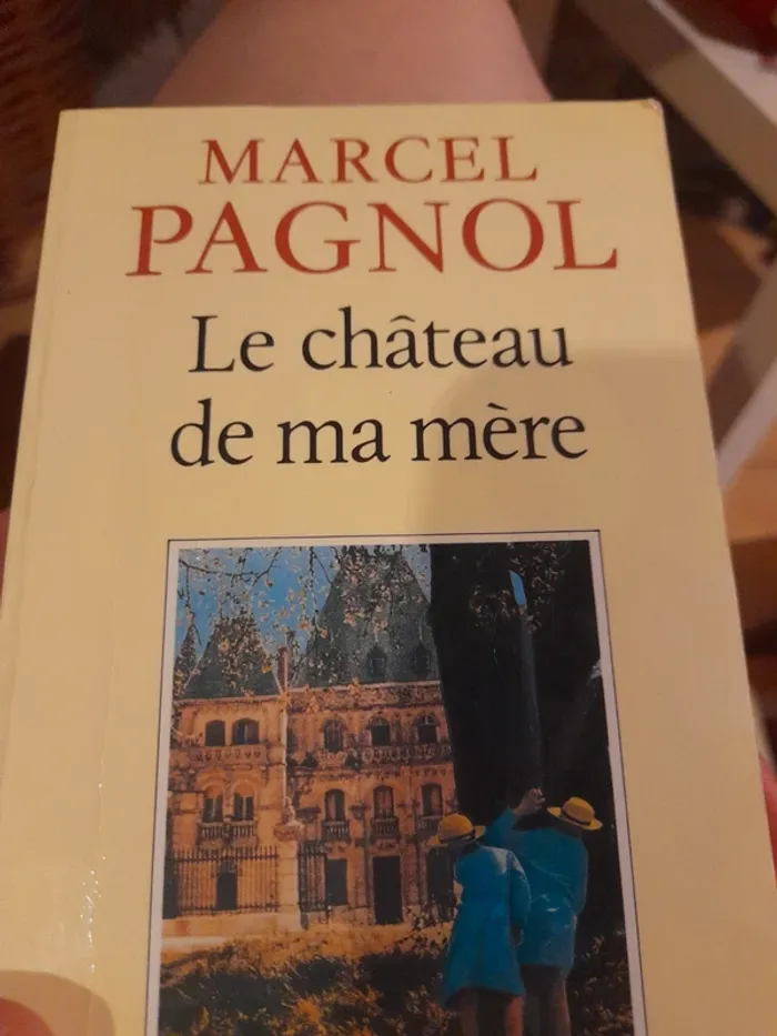 6 livres Marcel Pagnol - photo numéro 9