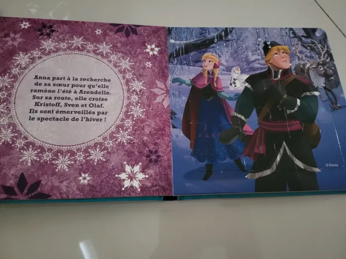 Lot Reine des neiges - photo numéro 11