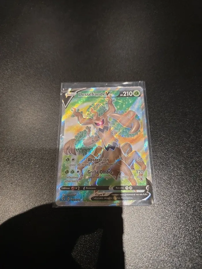 Desseliande V 168/203 - photo numéro 2