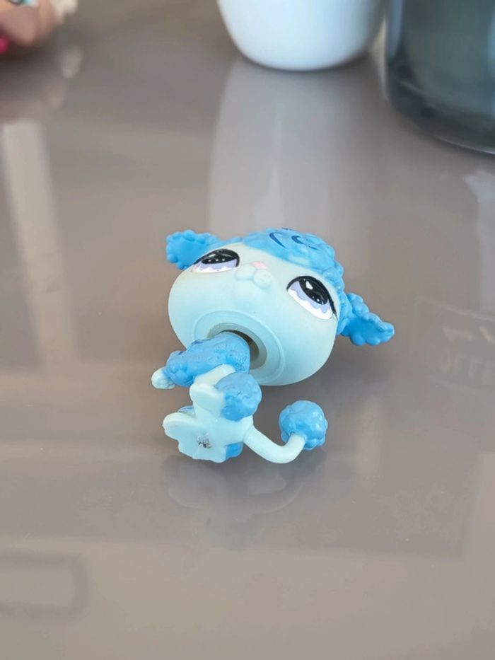 Littlest Pet Shop #591 blue french poodle dog - photo numéro 3