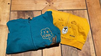 Lot 2 sweat-shirt zippée à capuche bébé