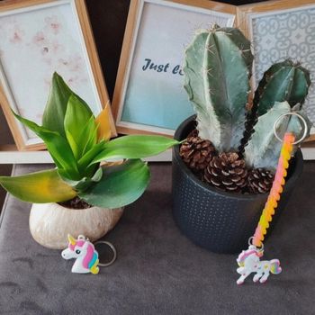 Lot 2 portes clefs licornes