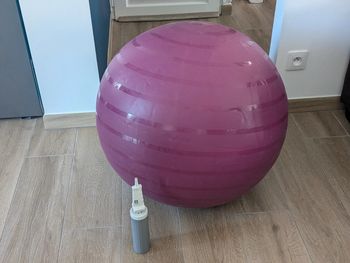 Ballon de gym (utiliser pour grossesse)