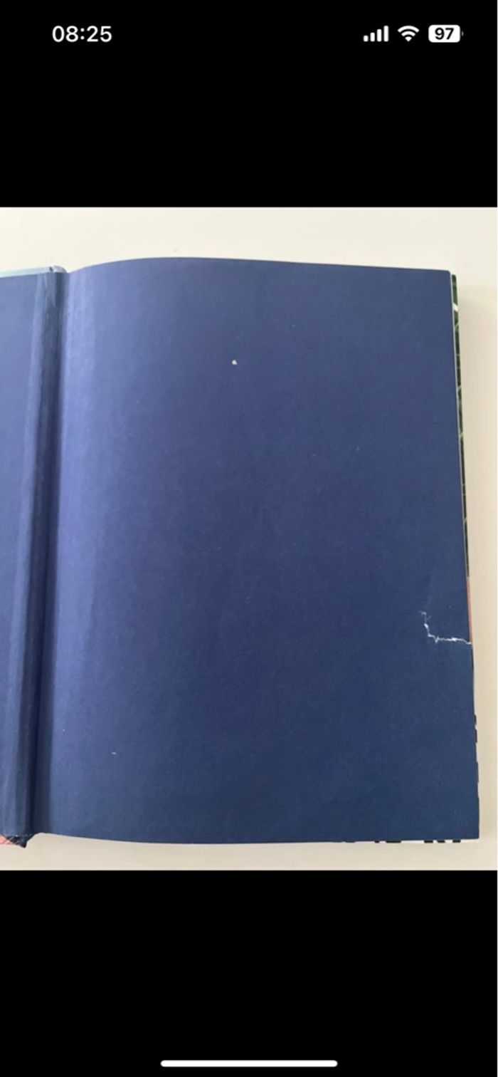 Clochette - photo numéro 4