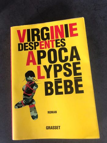Livre virginie despentes