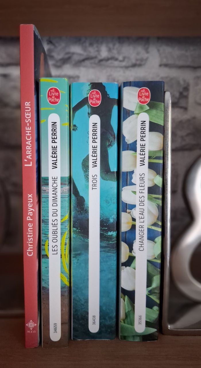 Lot 4 romans dont 3 de Valérie Perrin - photo numéro 3