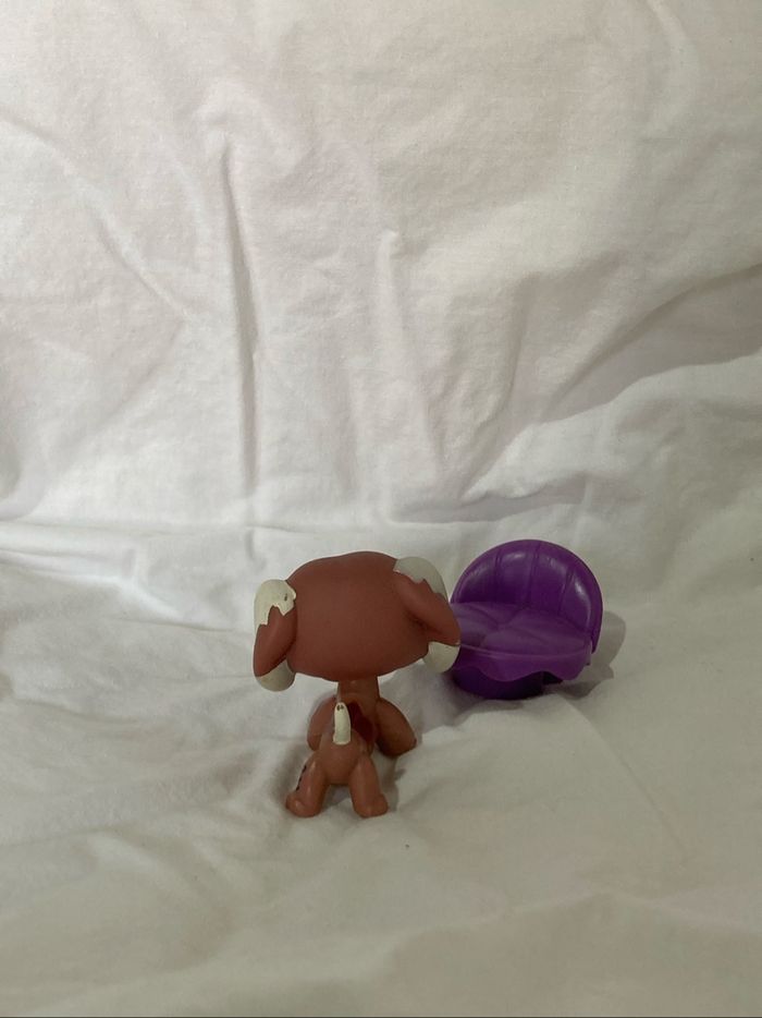 lps teckel rare - photo numéro 4