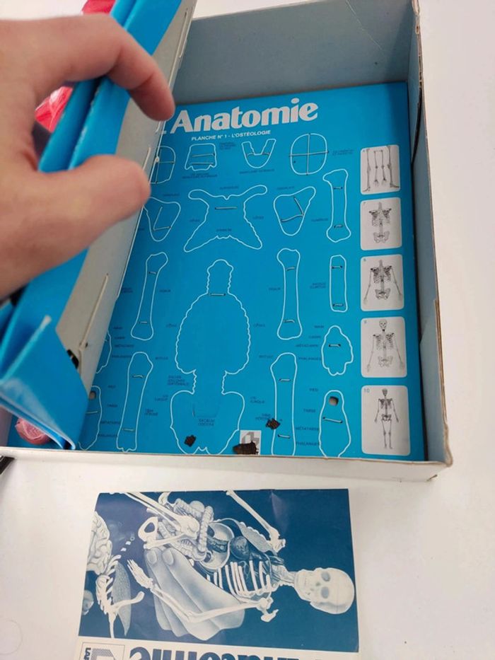 L'anatomie / Corps Humain / 1987 vintage Laffont semble complet voir photos - photo numéro 10