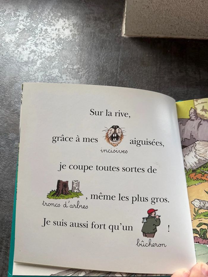 Livre pour apprendre à lire bonjour petit castor - photo numéro 2